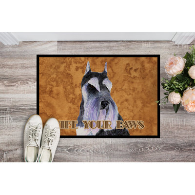 Non-Slip Indoor Doormat