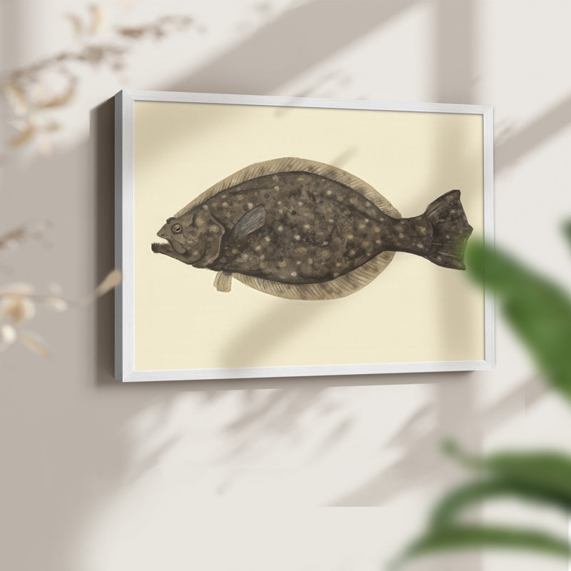 «Saltwater Species IV», reproduction encadrée, H 11 po x l 14 po, Blanc
