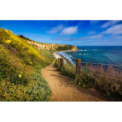 Beautiful yellow wildflowers 1 Piece Wrapped Canvas Wall Art