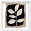 Oliver Gal Vibrant Visions Floral & Botanical - Luxury Shadowbox Framed Wall Art-1567377886-1567377882
