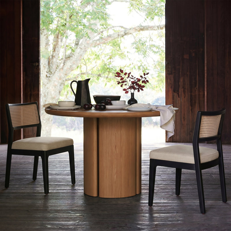 Demetruis 20''W Coastal Solid Wood Dining Chair With Rattan Backrest, Black