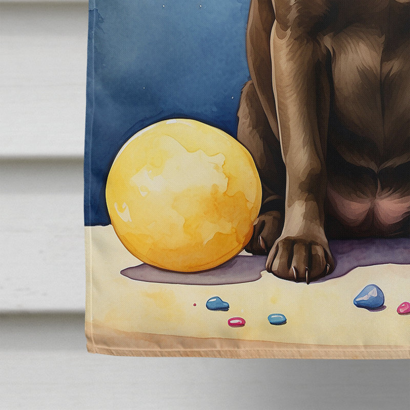 Drapeau «Happy Birthday House», Labrador Retriever chocolat