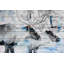 « antlers unite’graphic », reproduction sur bois blanc-20746527
