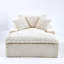 Comfort - bearing Sofa: Two Pillows and One Backrest-924784653