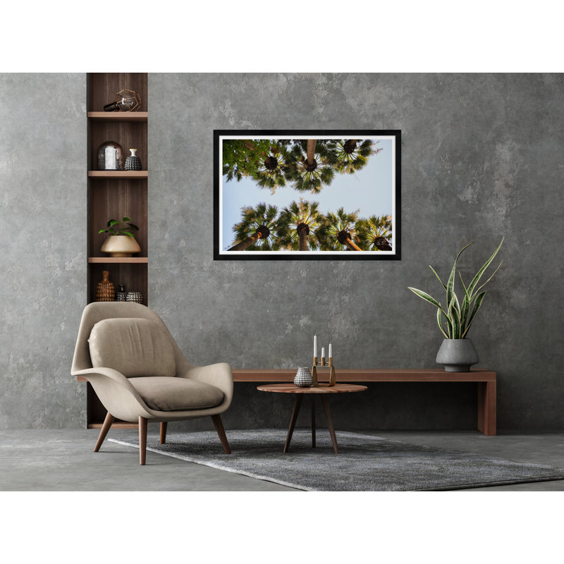 National Garden Palms I par Tim Klein - Photographie avec cadre