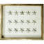Sealife Print