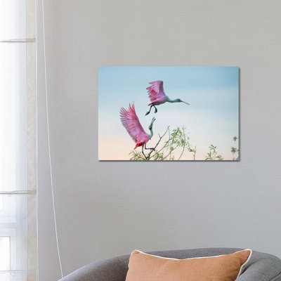 Rosy Pair (Roseate Spoonbills) by C. Mei - Wrapped Canvas Print