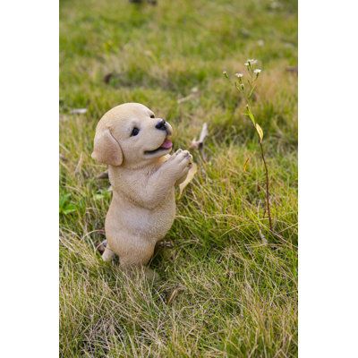 Chiot labrador jaune priant