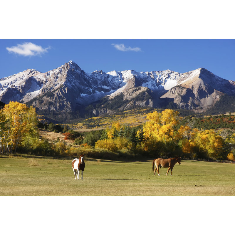Uncompahgre National Forest by Donyanedomam - Wrapped Canvas Print, 20cm H x 30cm W