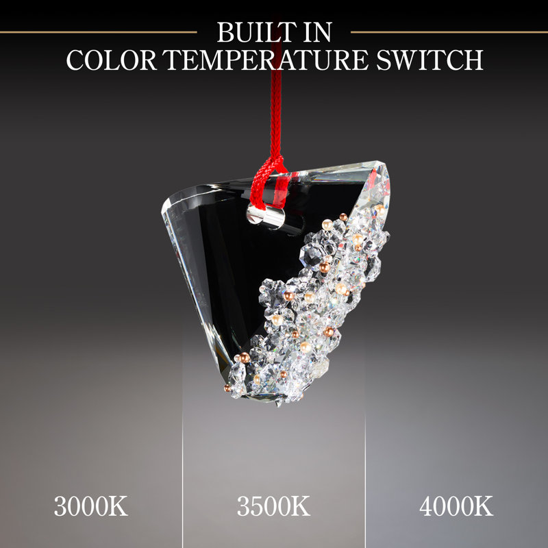 Addesion 1 - Light LED Pendant, Polished Chrome/Black Rope