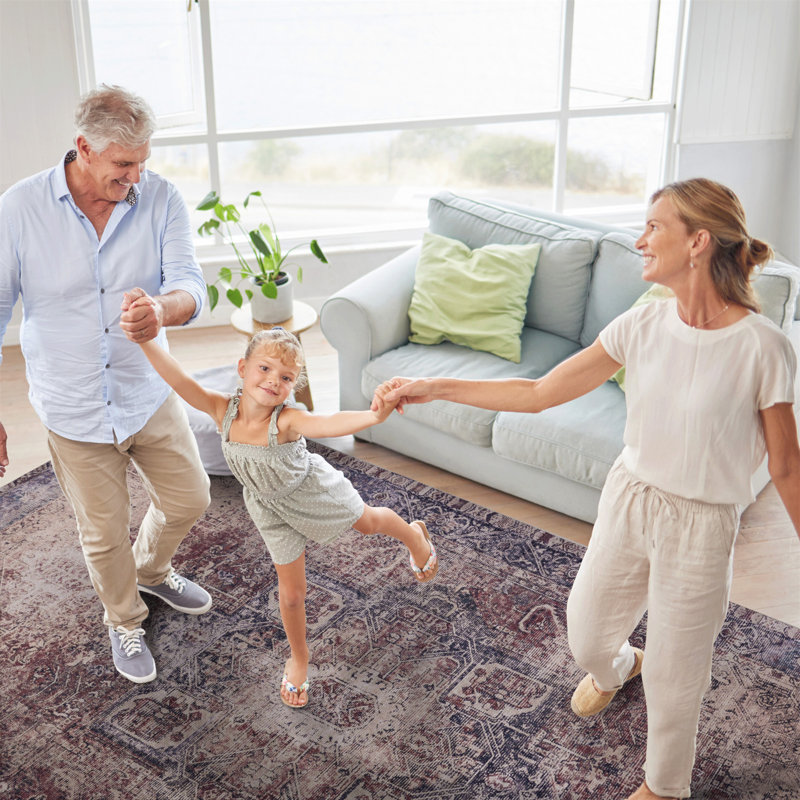 Area Rugs  Living Room, Washable Rug, Low-Pile, Non-Slip, Non-Shedding, Foldable, Kid & Pet Friendly - Area Rugs For Living Room, Bedroom, Kitchen  