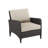 Mosca Wicker Outdoor Lounge Chair-49317806