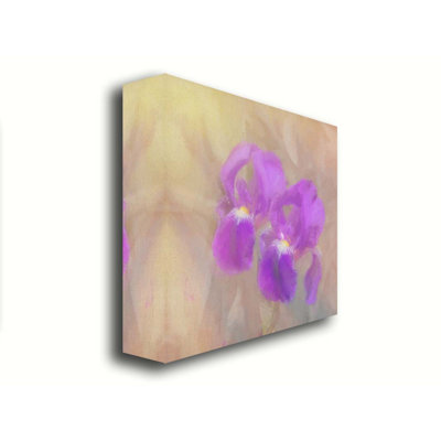 Painted Iris by Hal Halli. Giclee Gallery