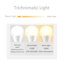 Lampe sur pied arquée 63 po Jaxcyn