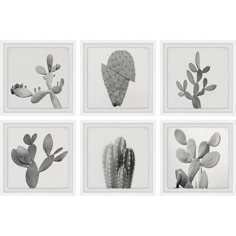 «Cactus Variety II Hexaptych», ensemble de 6 reproductions d'art sur papier encadrées, H 32 po x l 32 po