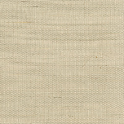 Papier peint vichy 24 'x 36 "Greater Taree Grasscloth