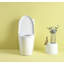 Toilette une pièce Alaric