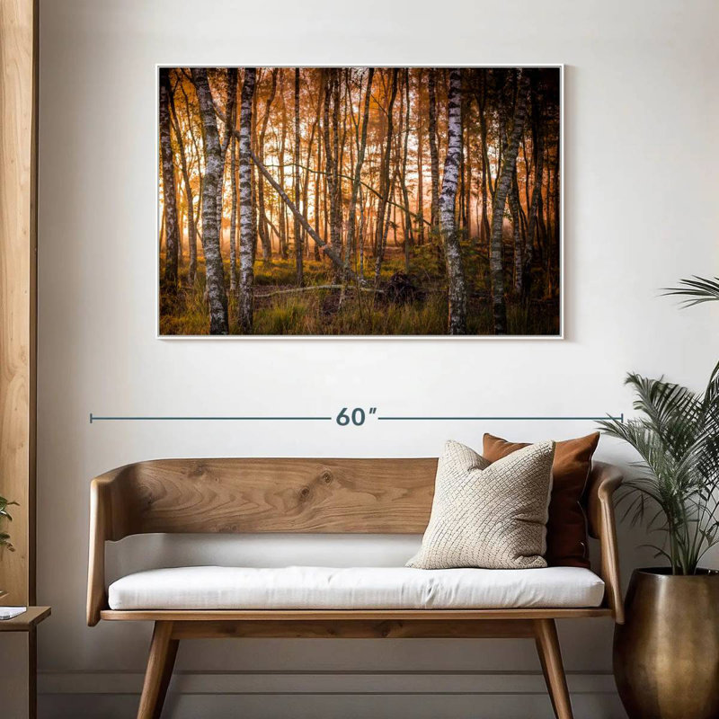 Forêt de bouleaux sombre, Cadre flottant blanc, 46 po x 31 po