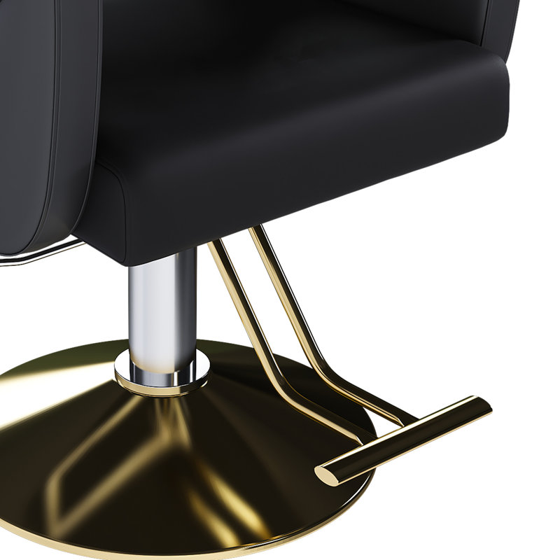 Chaise de salon hydraulique (paquet simple)