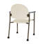 Chaise d'invité à chat avec roulettes-98671437-98881989