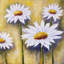 «Daisies at Sun» sur toile | Décoration florale et botanique pour chambre à coucher