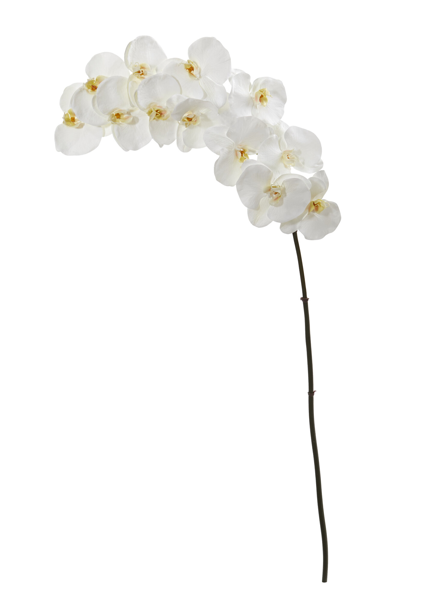 38 Artificial Dancing Orchid Flower Stem