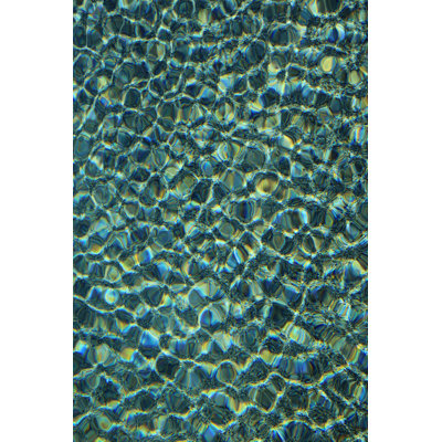Water Abstract' Graphic Art Print