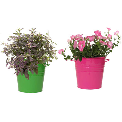Ensemble de pots à fleurs 2 pièces Maynard