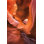 «Paws of Love II» par Alan Majchrowicz - reproduction d'art sur toile tendue