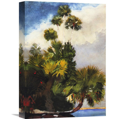" Palm Trees Florida " by Winslow Homer