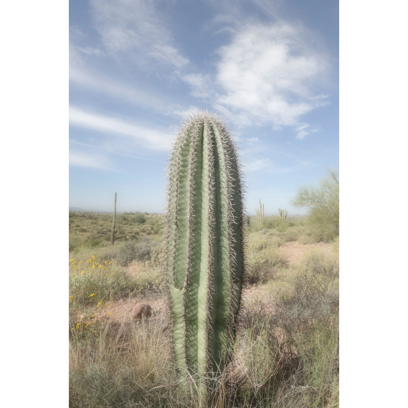 Saguaro by Alan Majchrowicz - Photograph Print, Black Floater Framed, 122cm H x 81cm W