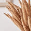 Dried Flower Bunch-119034009-119034008