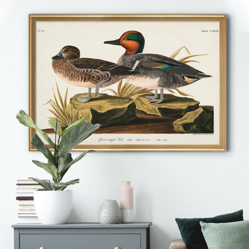 Vert sarcelle ailé - reproduction d'art sur toile, H 22,5 po x l 30,5 po x P 1,5 po, Doré