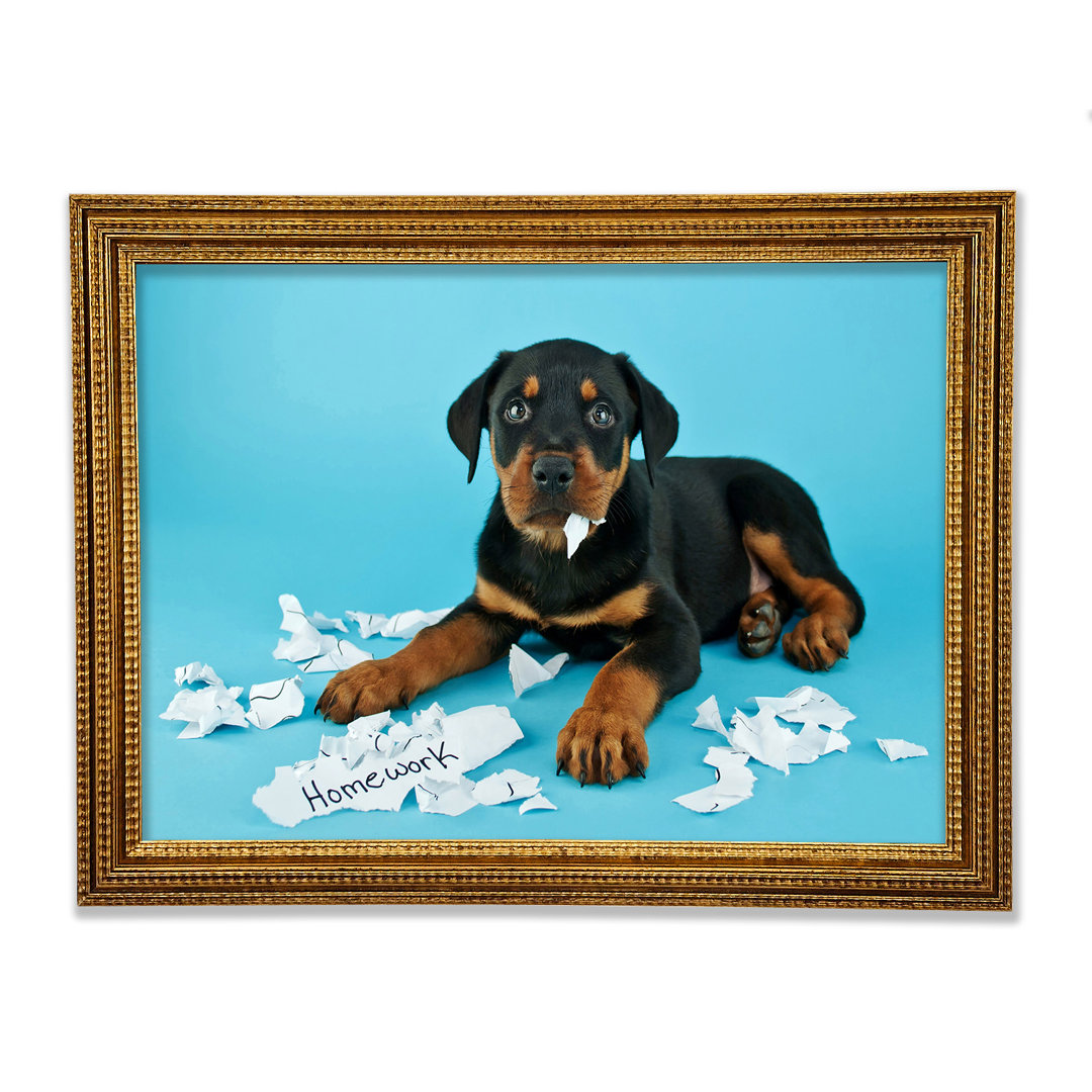 Frecher Rottweiler Welpe Hund - Druck