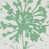Vert printemps