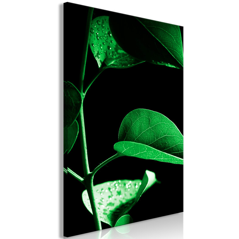 No Frame Print on Canvas, 40cm H x 60cm W