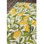Tapis intérieur / extérieur vert / jaune Moten-747358031