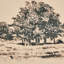 Path View Print by Dan Hobday-1046788912