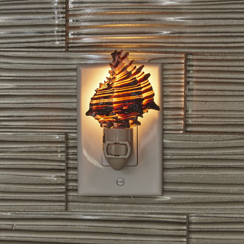 Veilleuse à DEL Murex Shell