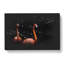 Pink Flamingos - Wrapped Canvas-56642696