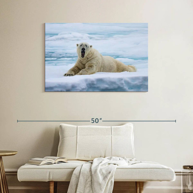 L'ours polaire Brampt se réveille, H 26 po x l 39 po