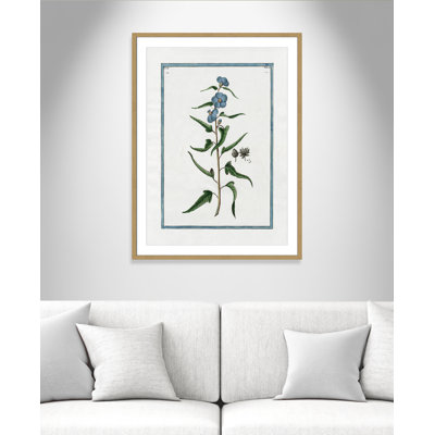 Colombe Shabby Elegance Botanical I - Art encadré avec fond perdu