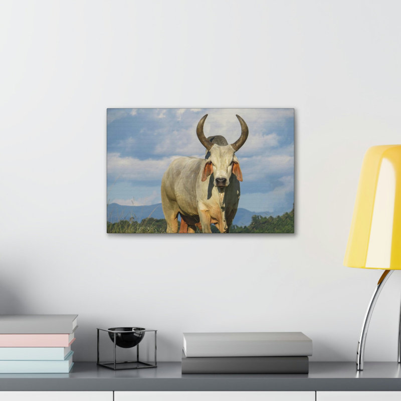 No Frame Print on Canvas, 27.94cm H x 35.56cm W