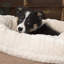 Ellen Round Pet Bed-374090503-374090505