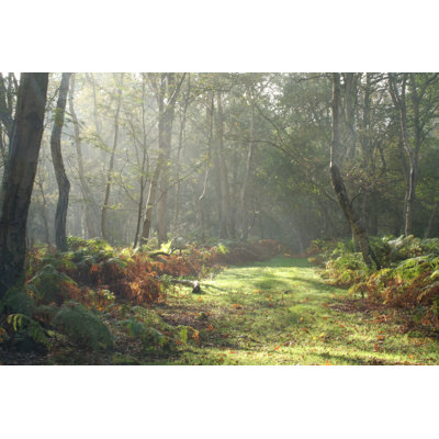 Morning Walk - Wrapped Canvas Print