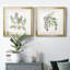 Graceful Botanical I - Graceful Botanical I - Ensemble de 2 reproductions de cadres photo-100946809-117309735-117309728