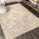 Virgil Modern Ornate Medallion Gray/Brown Rug
