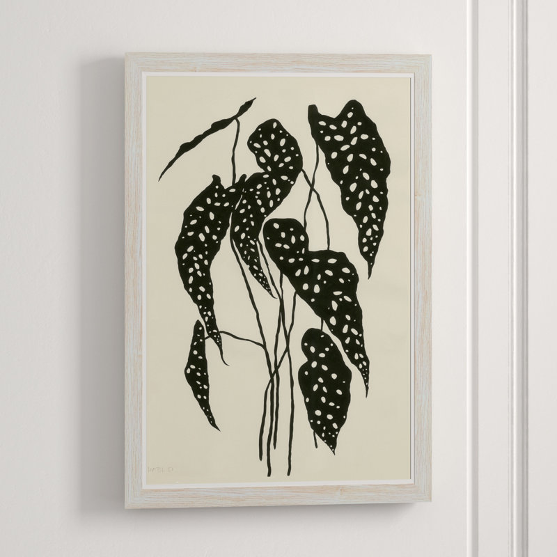 Begonia Giclee Print by Susan Hable