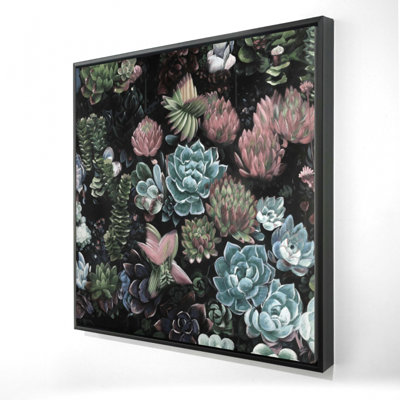 " Succulent Set "