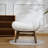 Jeyshan Upholstered Lounge Chair and Ottoman-1975194295